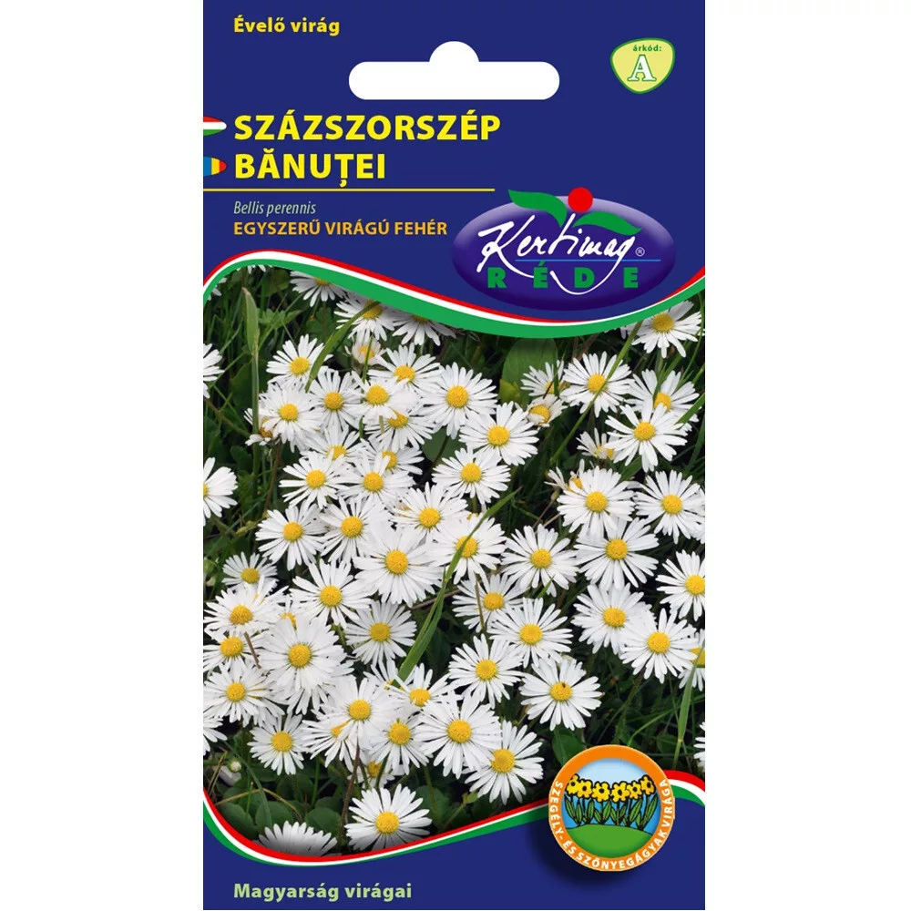 aranytalicska20261020210208155369