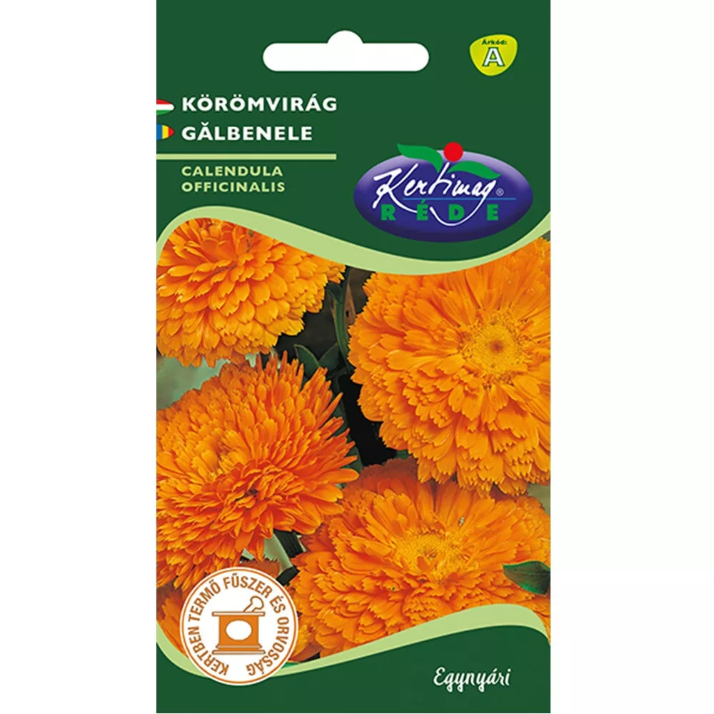aranytalicska20261020213925161850