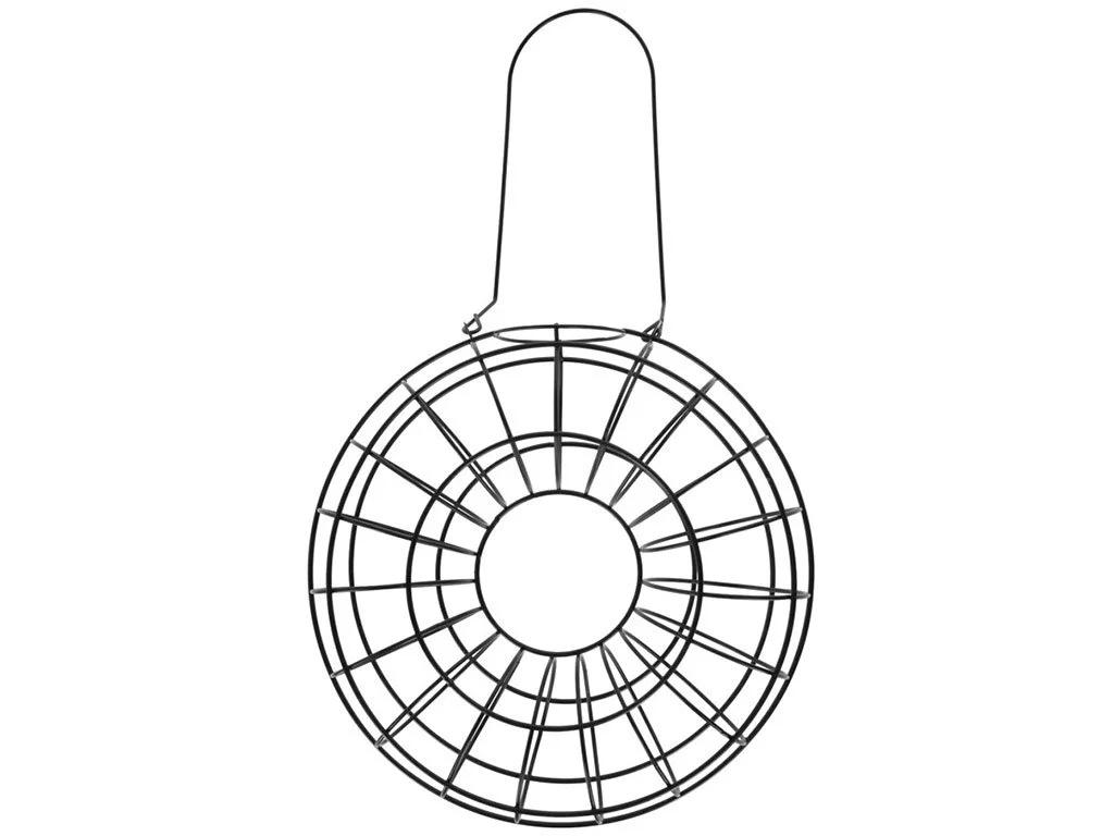 format120261020173655106350