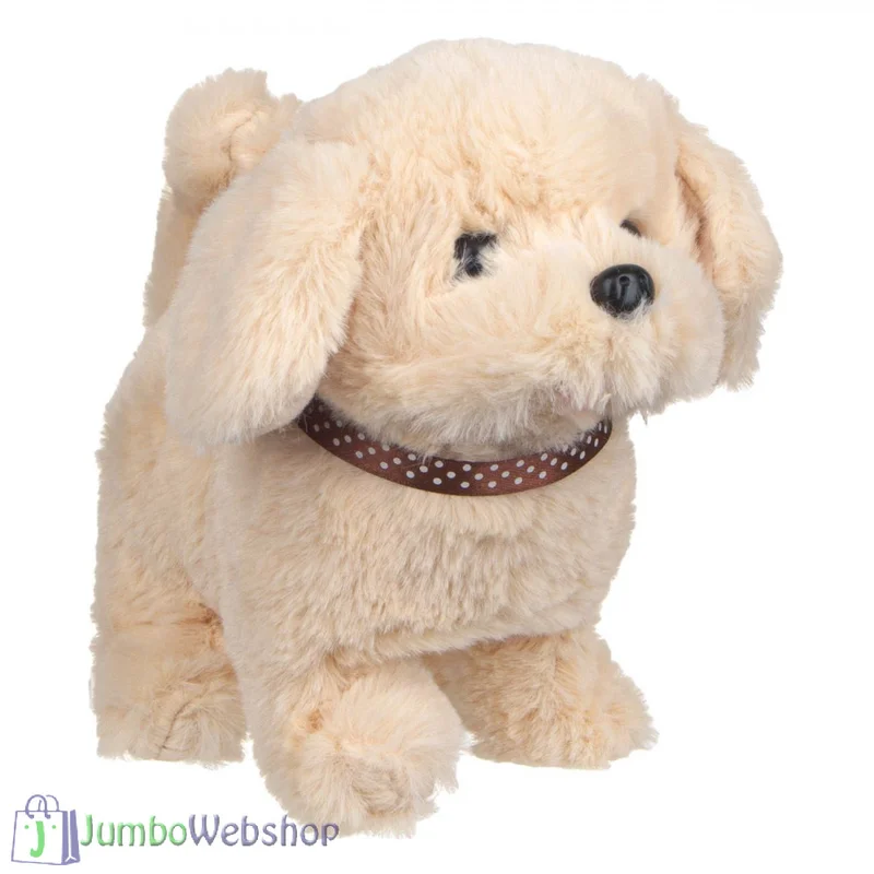 jumbowebshop20261020175049110012