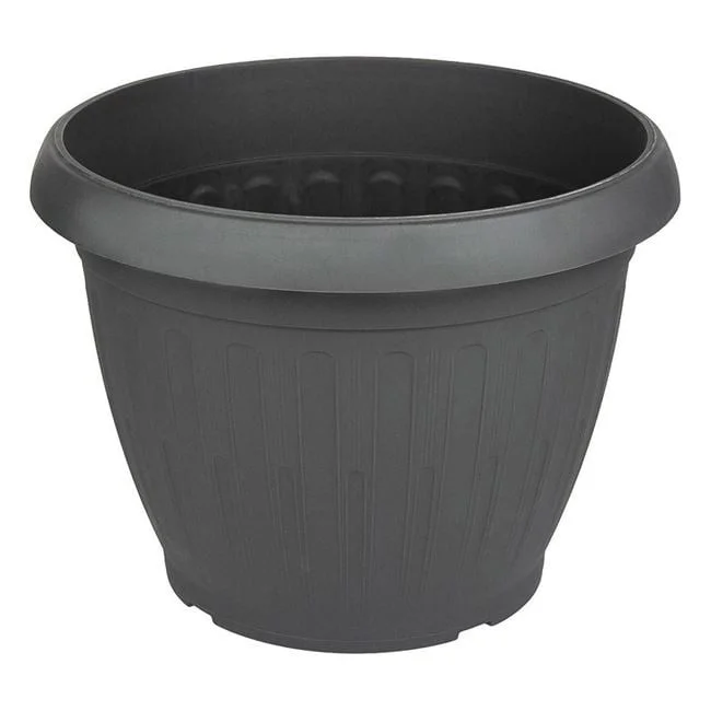 jumbowebshop20261020204155150882