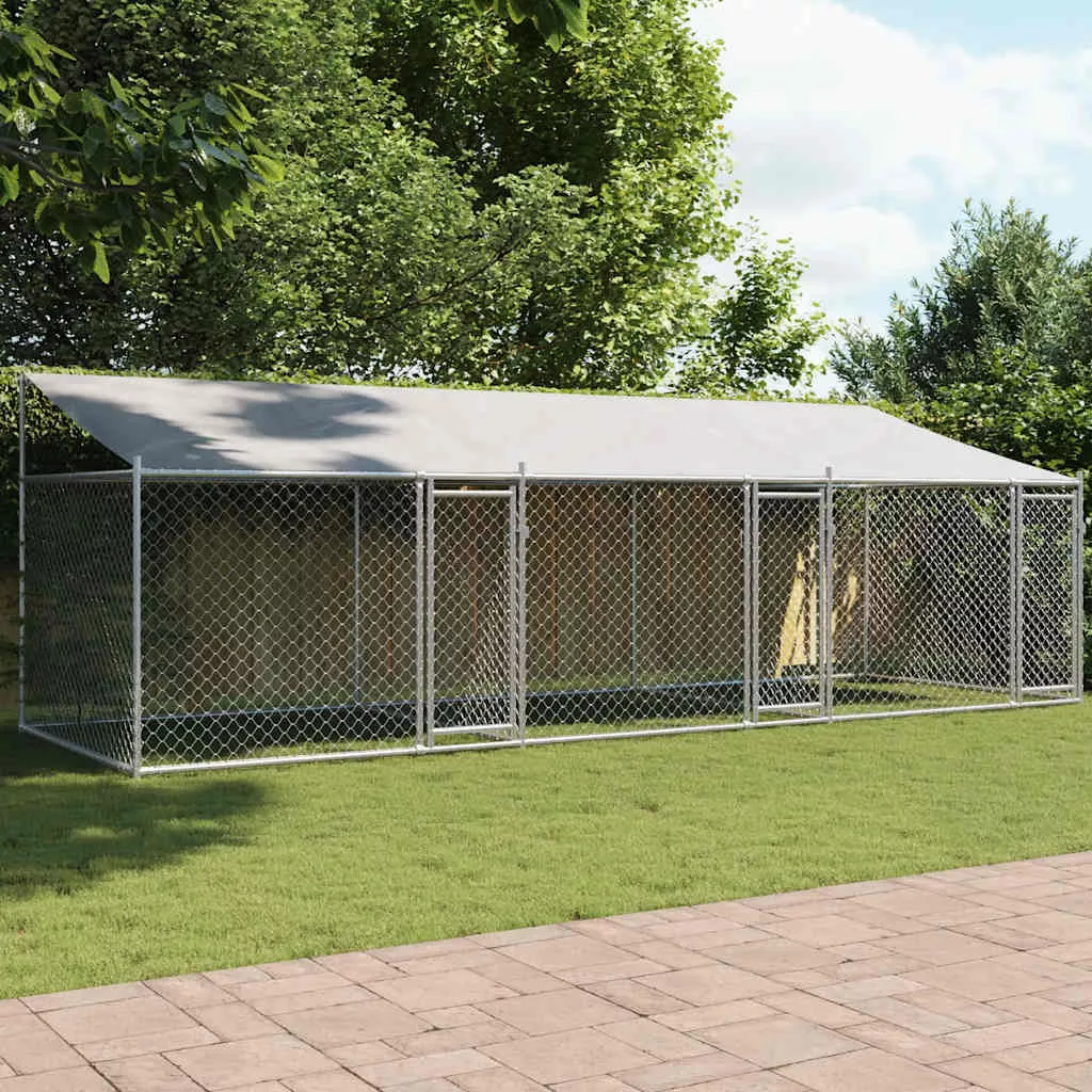 kissvilag-120261020192529134452