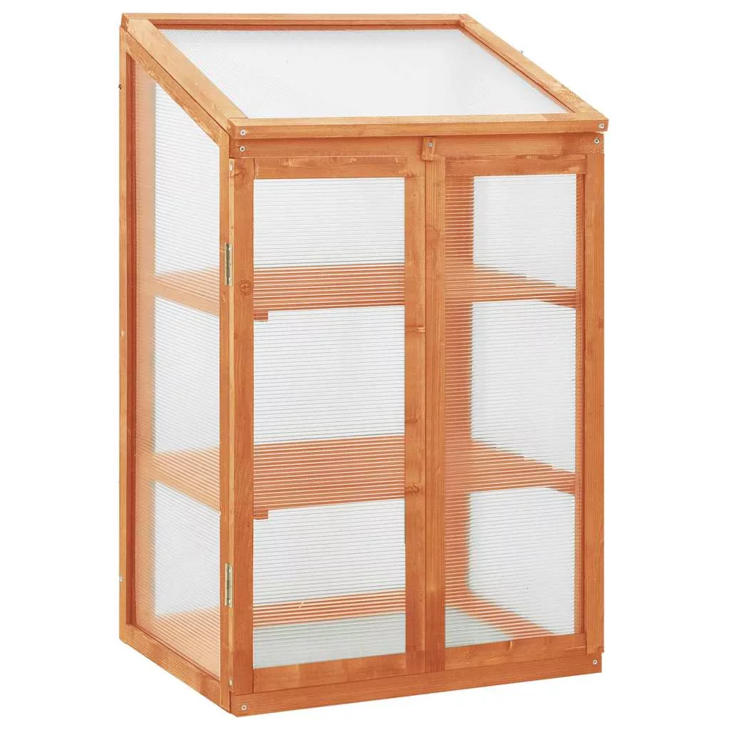 kissvilag-120261021063005219569