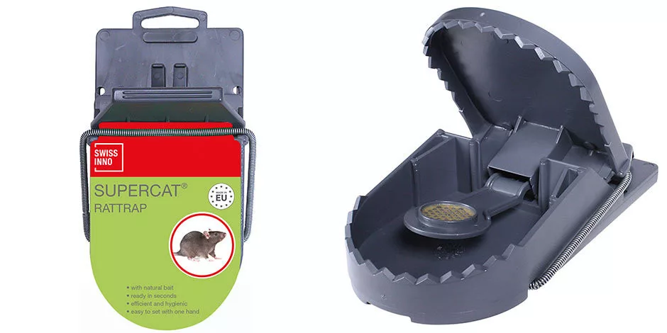 koi-kert20261020195017139728