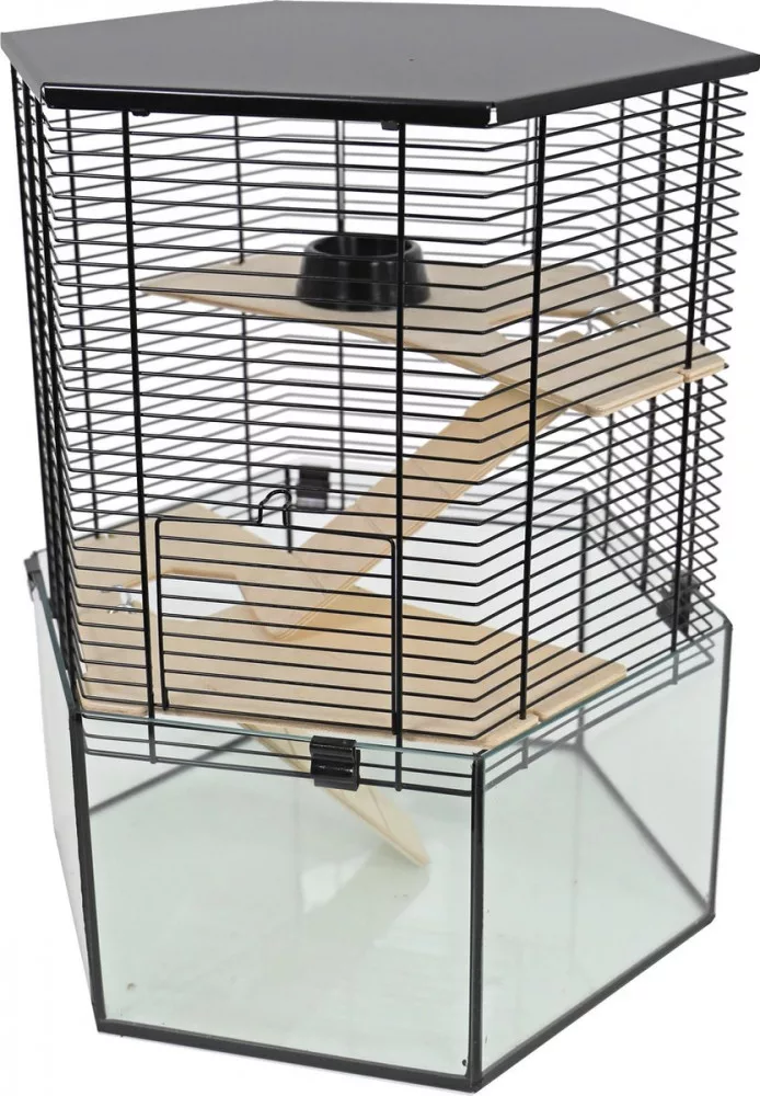 koi-kert20261020204143150845