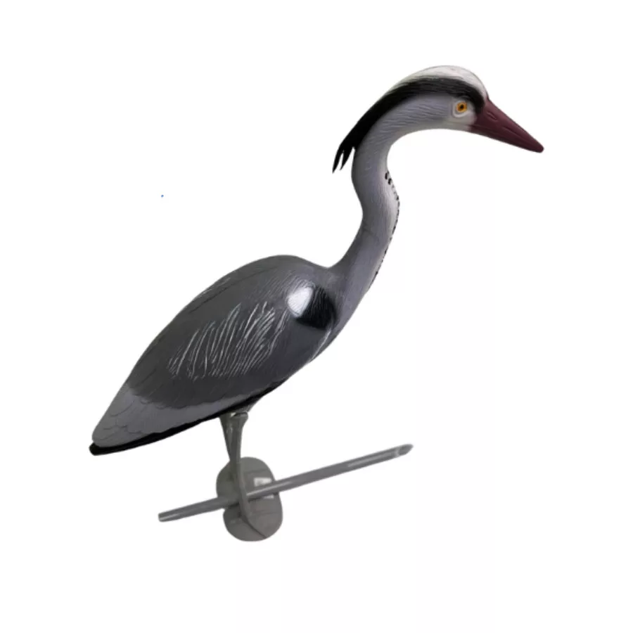 koi-kert20261020213626161411
