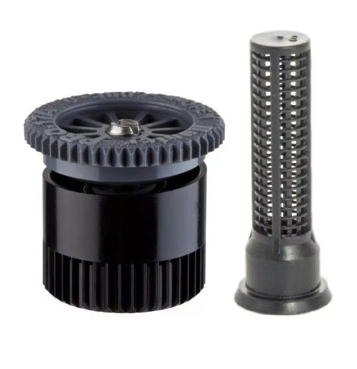 koi-kert20261020232358170997